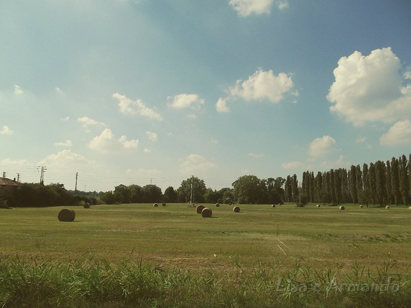 verso felonica 673.JPG